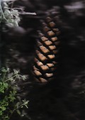 Geometre De L Infime-01