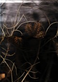 Geometre De L Infime-03