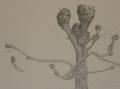 Cliquez pour agrandir -