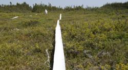 Cliquez pour agrandir Hydro Cree / Histoires de tôles / Voyage au bout de la route 138