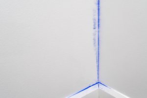 photo courtoisie Barbara CLAUS