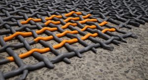 photo courtoisie Barbara CLAUS