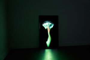 02_WEB_Docu_Expo_Pierre_photo_par_Simon_Bernier_Bilodeau