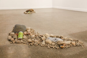 06_WEB_Docu_Expo_Fanny_Latreille_photo_par_Simon_Bilodeau