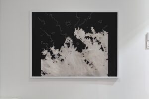 2425_diane_laurier_photo_expo_fullHD_modifie1