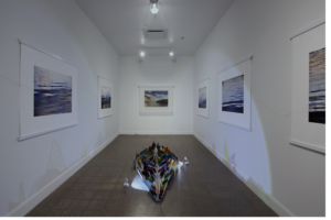 2425_diane_laurier_photo_expo_fullHD_modifie18