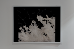 2425_diane_laurier_photo_expo_fullHD_modifie19