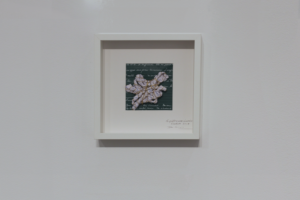 2425_diane_laurier_photo_expo_fullHD_modifie2