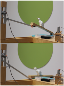 2425_pamela_landry_photo_expo_fullHD_MB_1