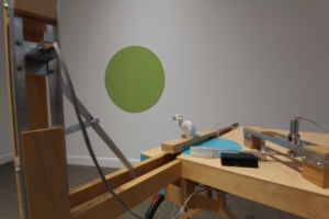 2425_pamela_landry_photo_expo_fullHD_MB_15