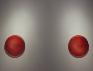 241007_photos_officielles_joanie_simard_mb1