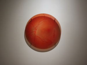 241007_photos_officielles_joanie_simard_mb3