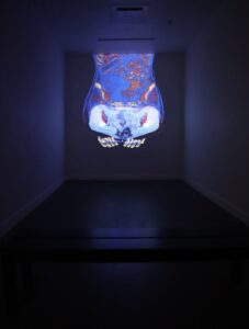 241001_photos_joanie_simard_expo02