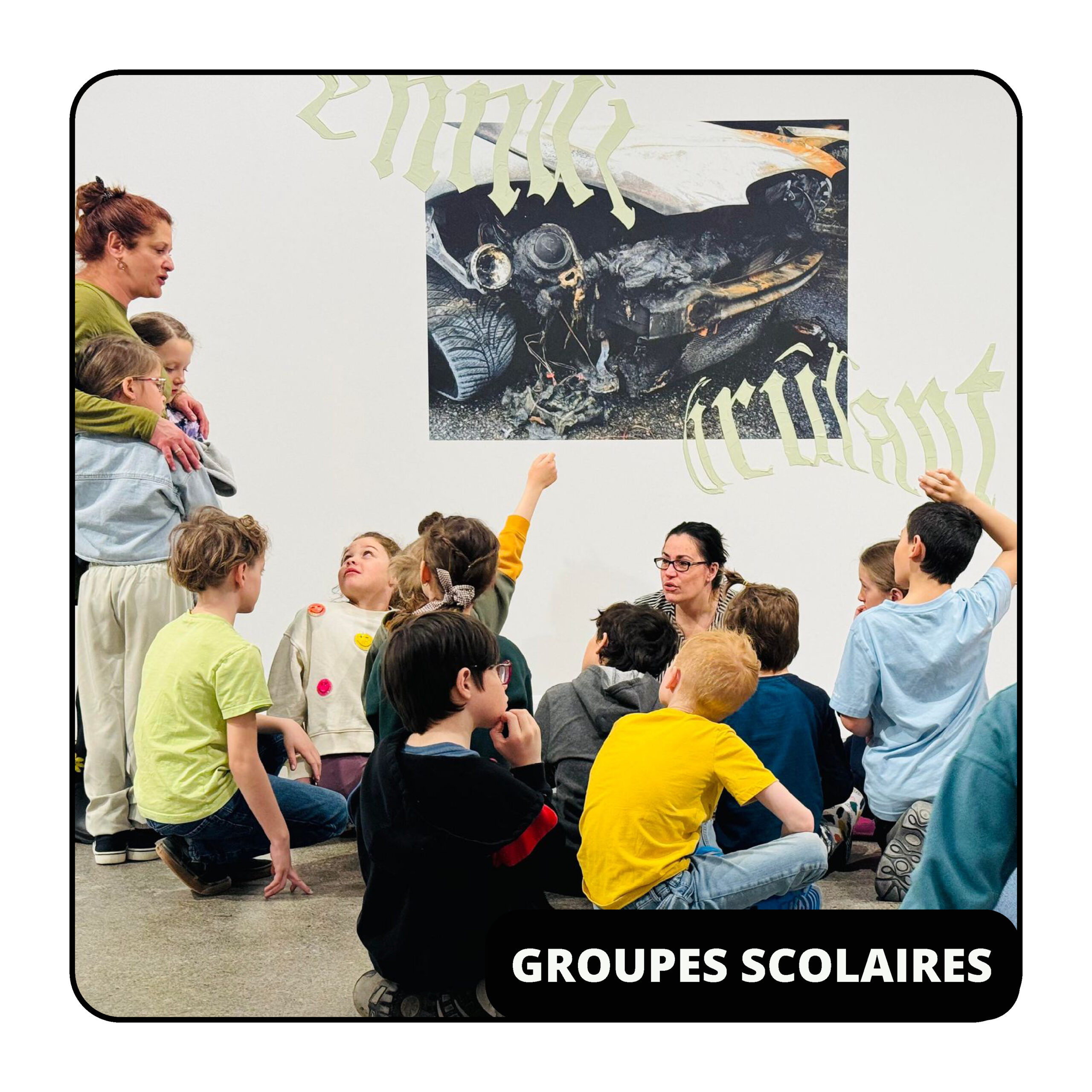 bouton groupes scolaires