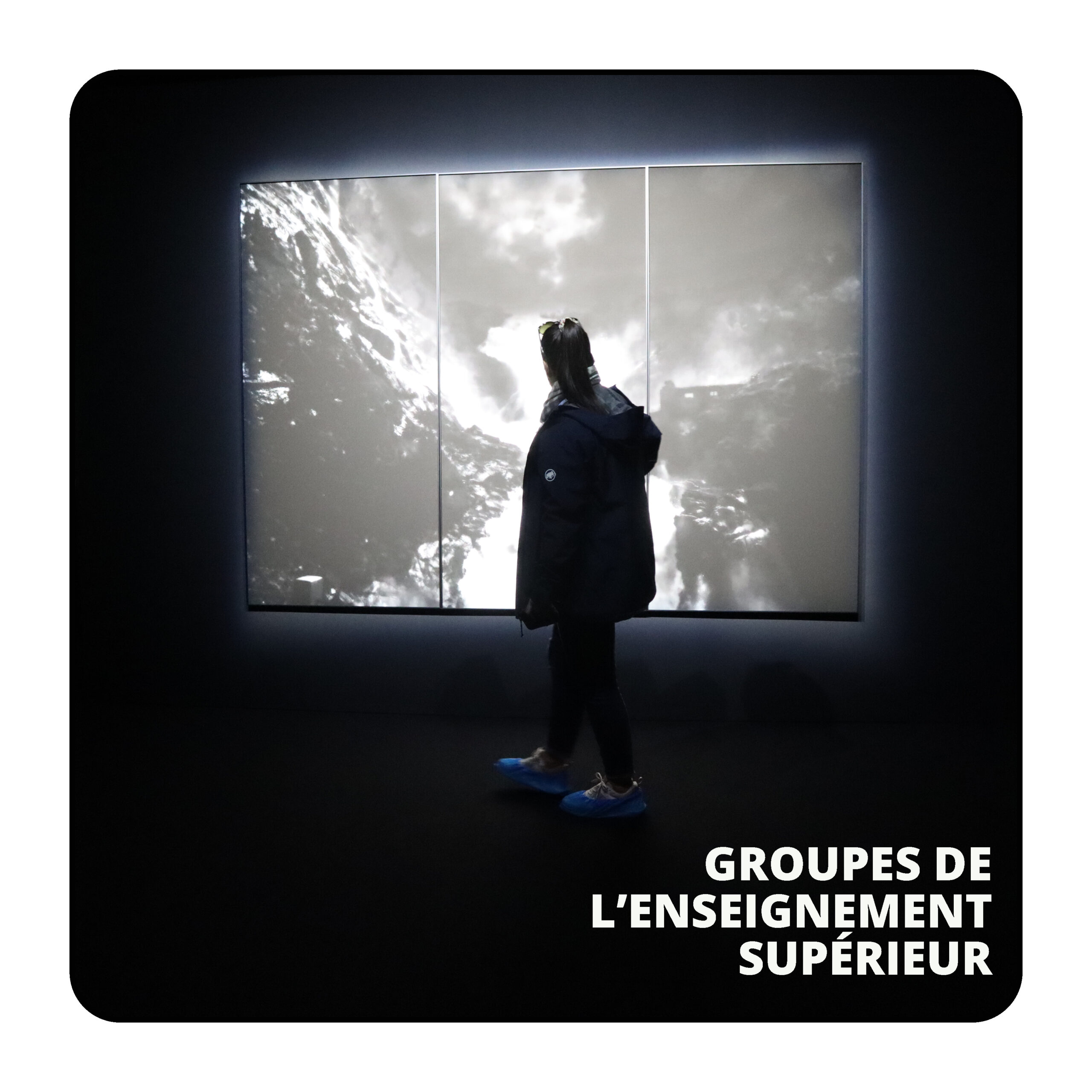 bouton site web groupes