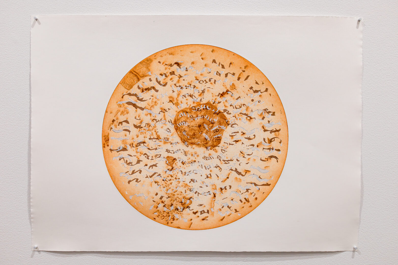 Détail de l'oeuvre Astéridée de Nélanne Racine dans son exposition L'apparentement de Nel P. Racin. La photographie a été prise par Mathieu Chouinard, 2026. 