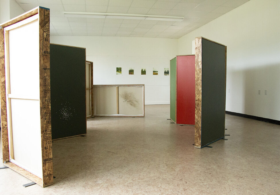 02.Sarah.FMaloney_evergreen