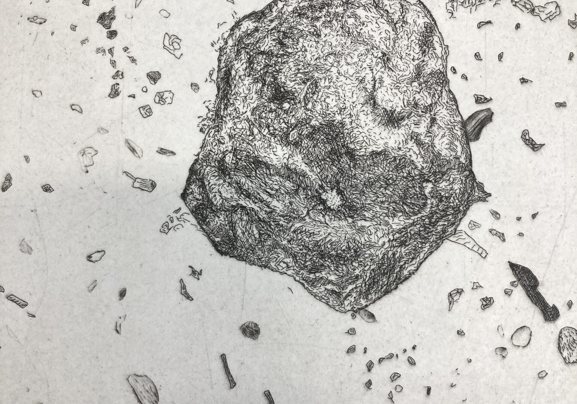 260324_photos_oeuvres_racine1