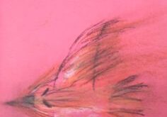 Publication Diffuseurs de rêves, résidence en milieu scolaire,  artiste Carl Bouchard, centre Langage Plus 2018