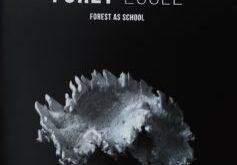 Publication Forêt-École, résidence en milieu scolaire, artiste Nathalie Lavoie, centre Langage Plus 2019