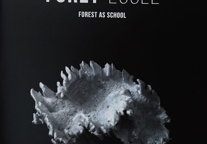 Publication Forêt-École, résidence en milieu scolaire, artiste Nathalie Lavoie, centre Langage Plus 2019