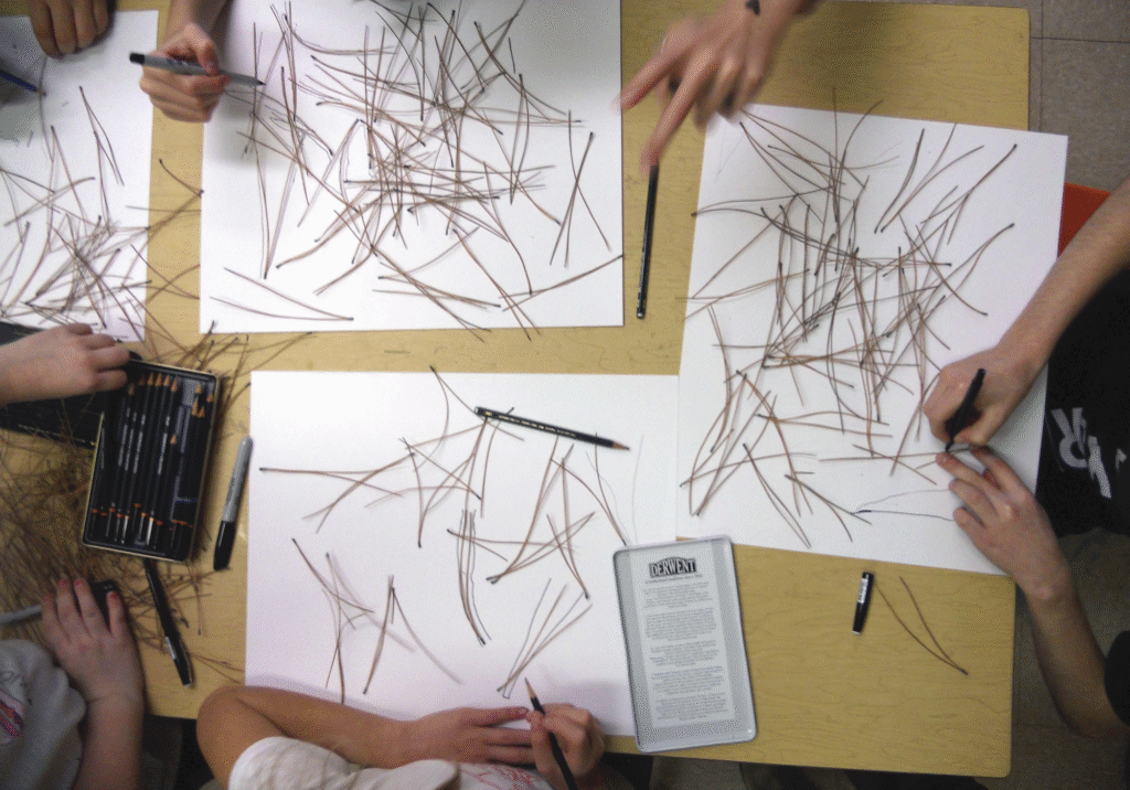 Projet de Nathalie Lavoie à l'École Sainte-Hélène de Saint-Henri-de-Taillon, 2019